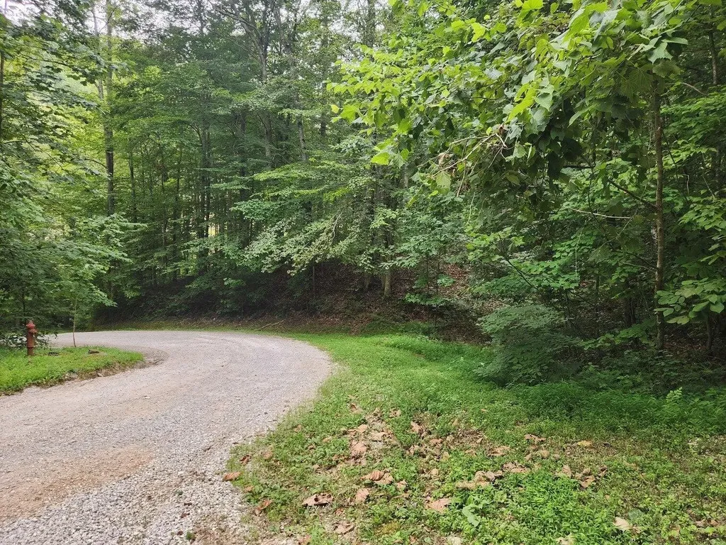 170 Birch Hollow Road Stanton KY 40380