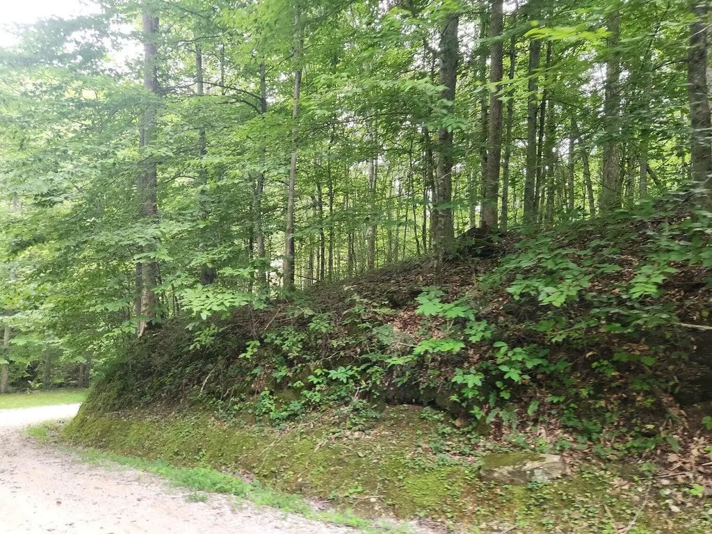 170 Birch Hollow Road Stanton KY 40380