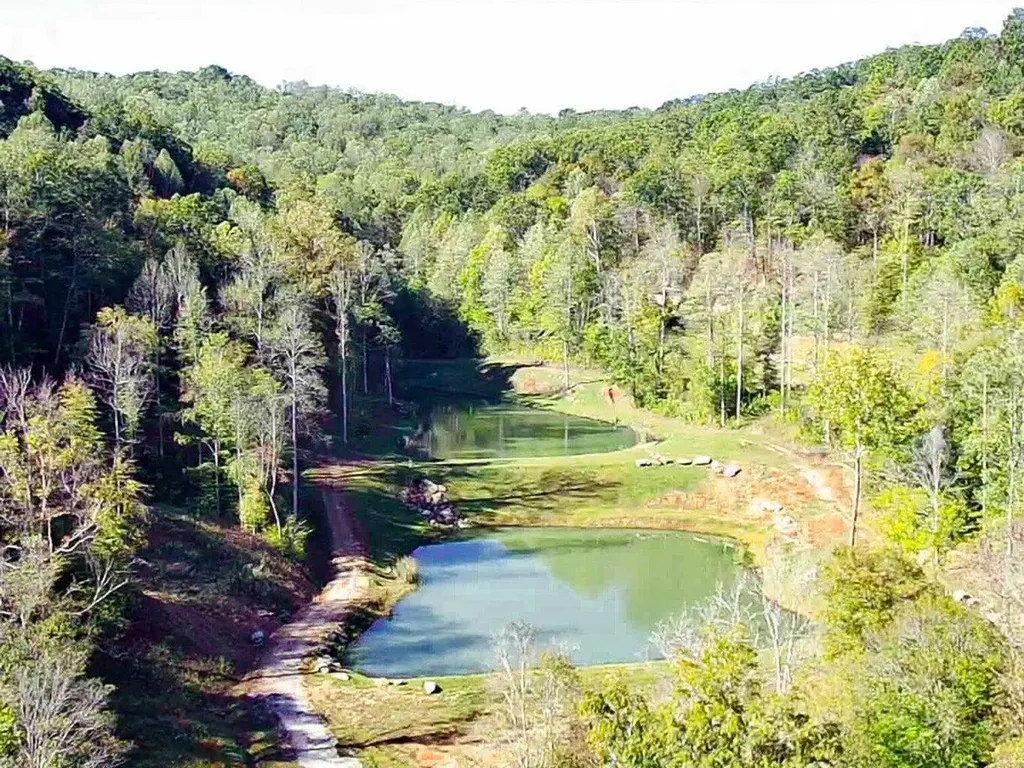 170 Birch Hollow Road Stanton KY 40380