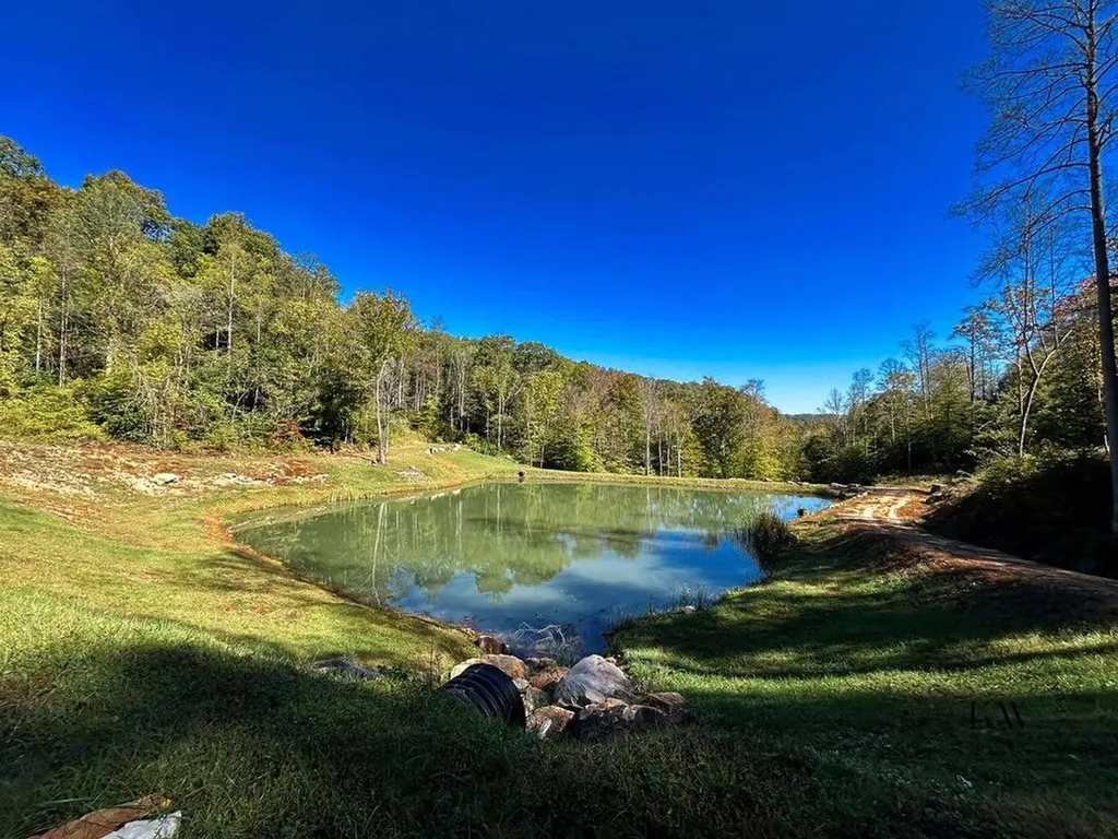 170 Birch Hollow Road Stanton KY 40380