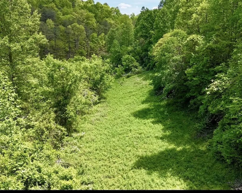 99 Cold Fork Road Manchester KY 40962