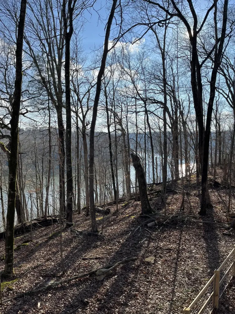 56 East Golden Island Nancy KY 42544