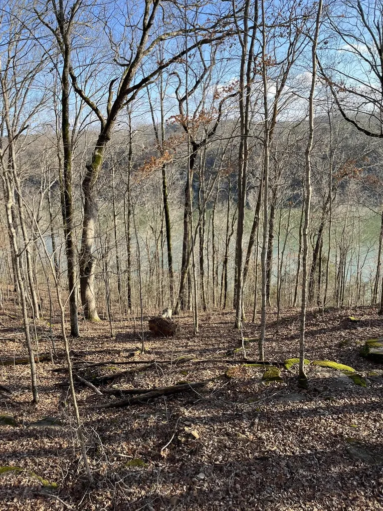 56 East Golden Island Nancy KY 42544