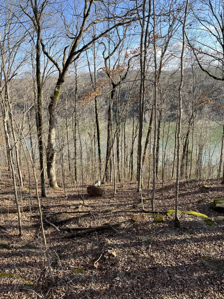 56 East Golden Island Nancy KY 42544
