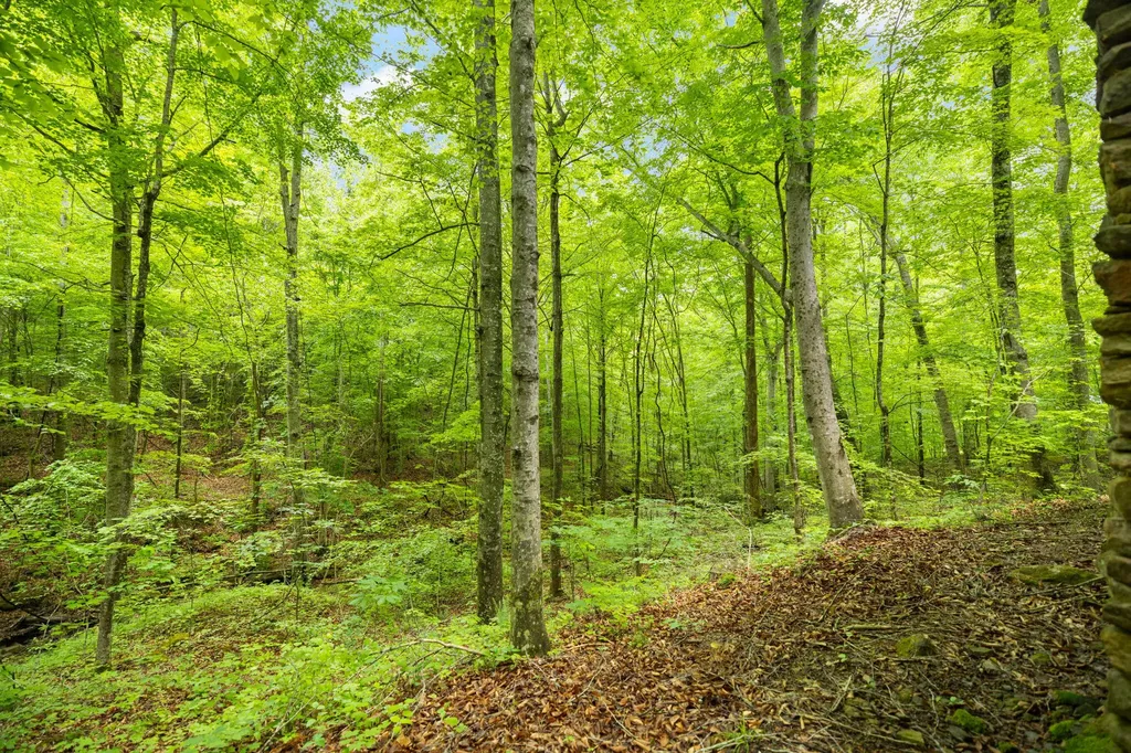395 Stoneybrook Road Burnside KY 42519
