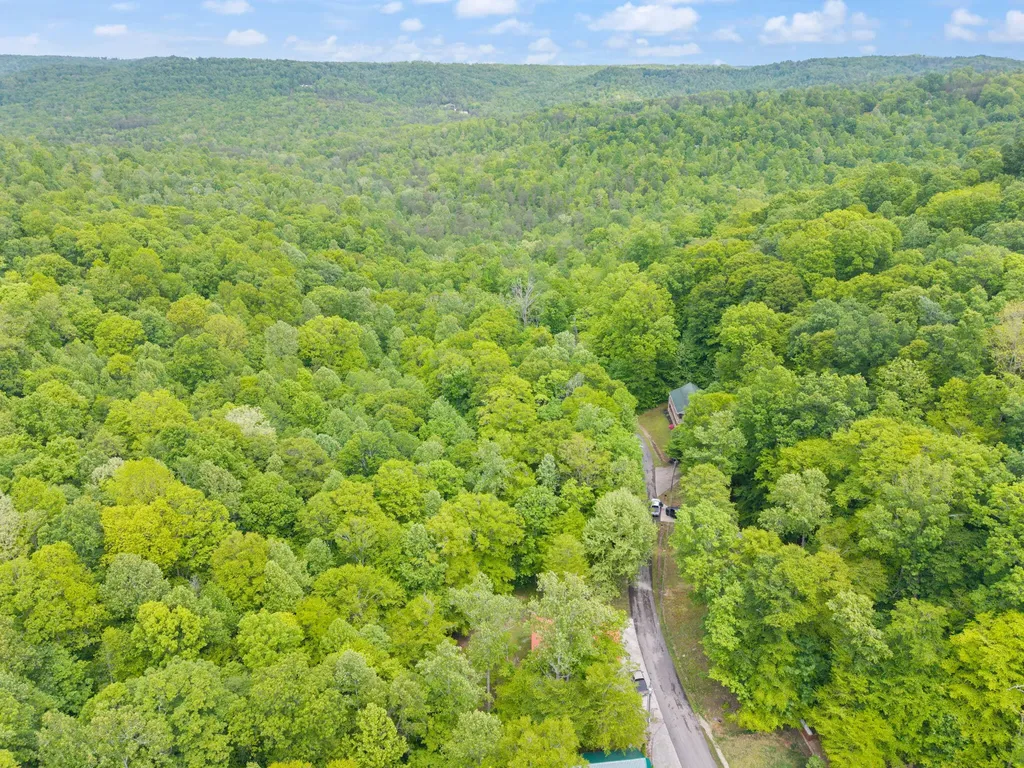 395 Stoneybrook Road Burnside KY 42519
