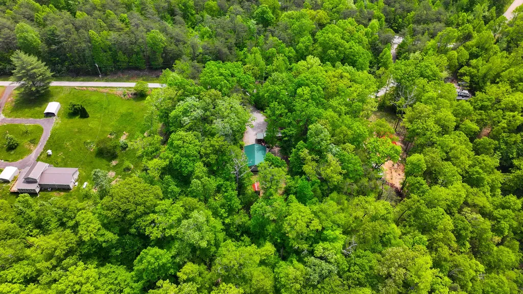 318 Pine Tree Circle Nancy KY 42544
