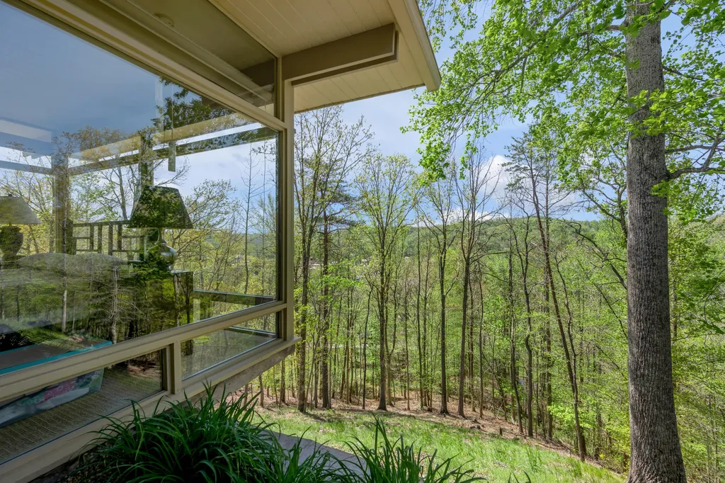 150 Pine Hill Drive Morehead KY 40351