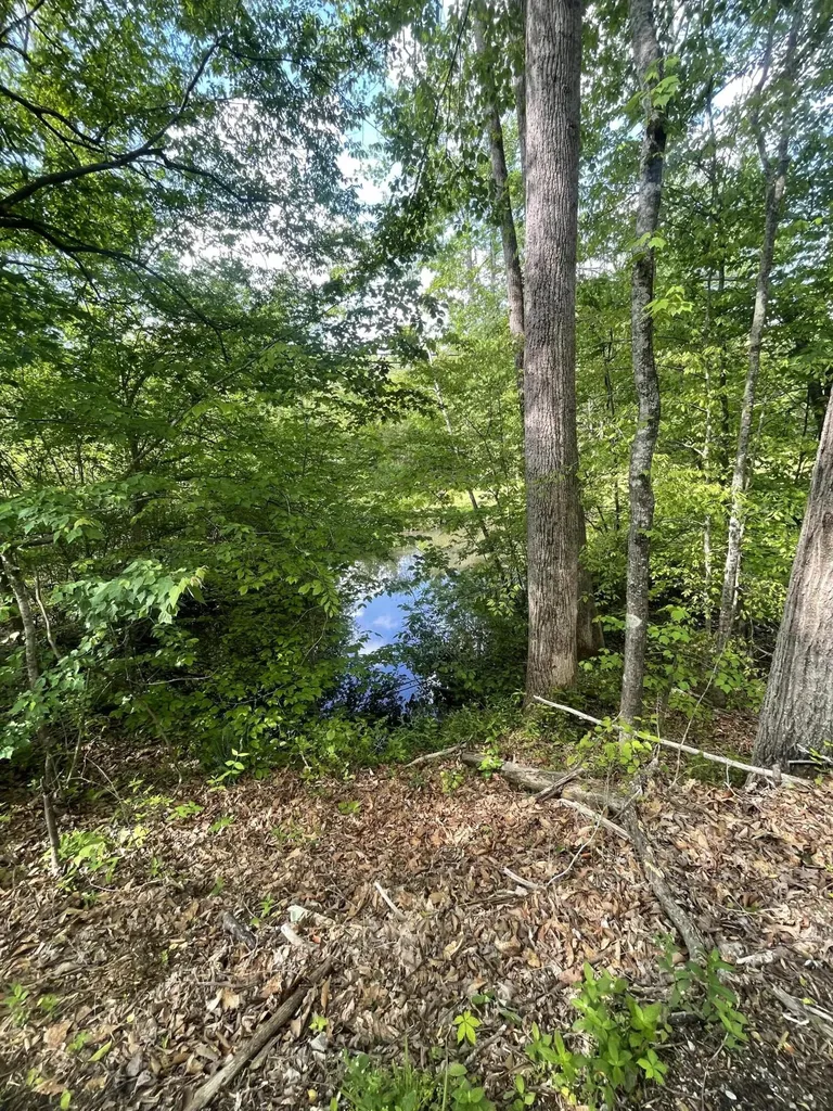 161 Hyde Park Lane Corbin KY 40701
