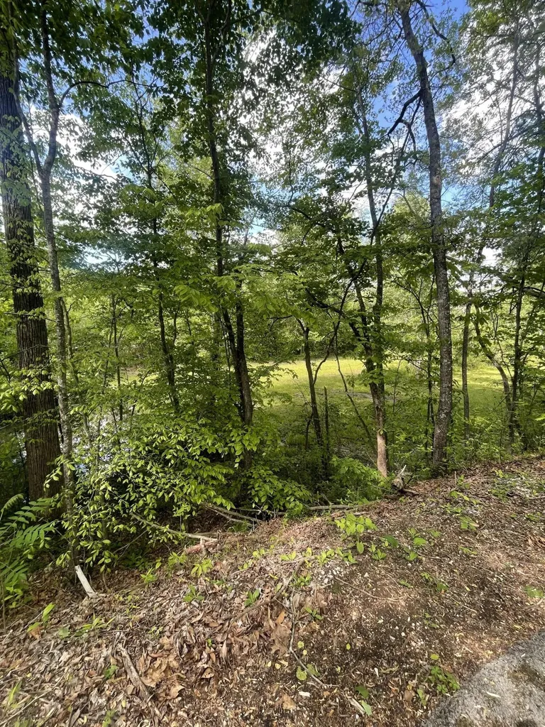 161 Hyde Park Lane Corbin KY 40701