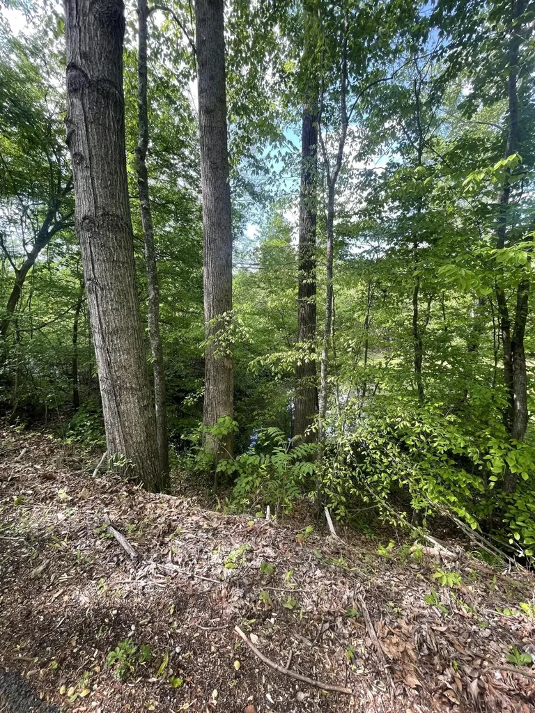 161 Hyde Park Lane Corbin KY 40701