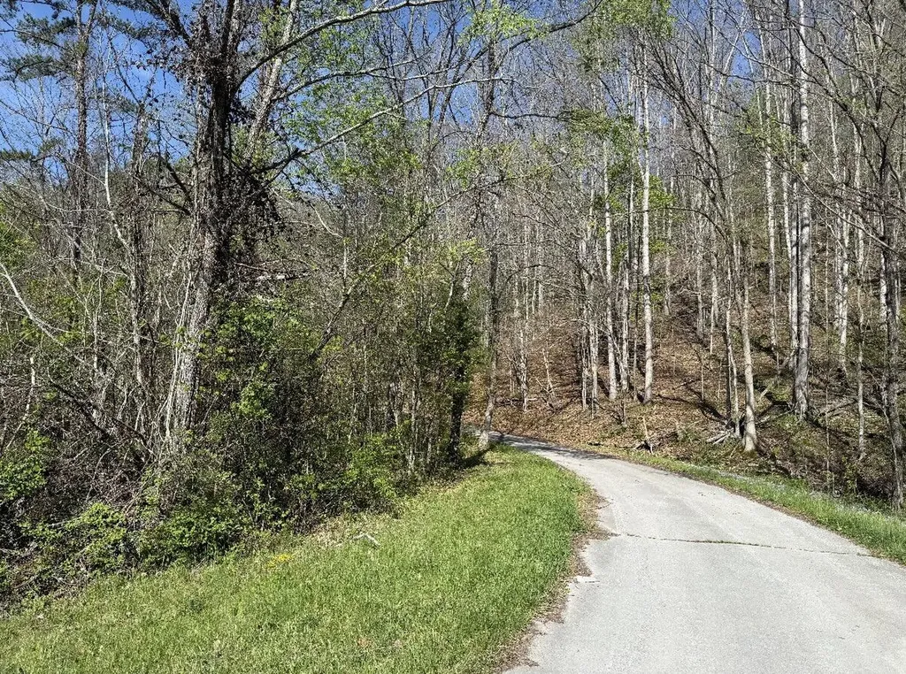 Tbd Kentucky 1274 Frenchburg KY 40322