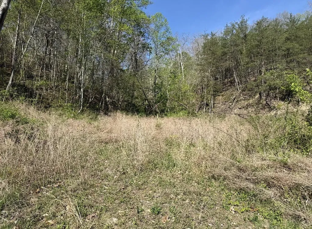Tbd Kentucky 1274 Frenchburg KY 40322