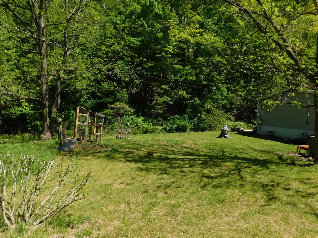 3587 Ky-219 Wallins KY 40873
