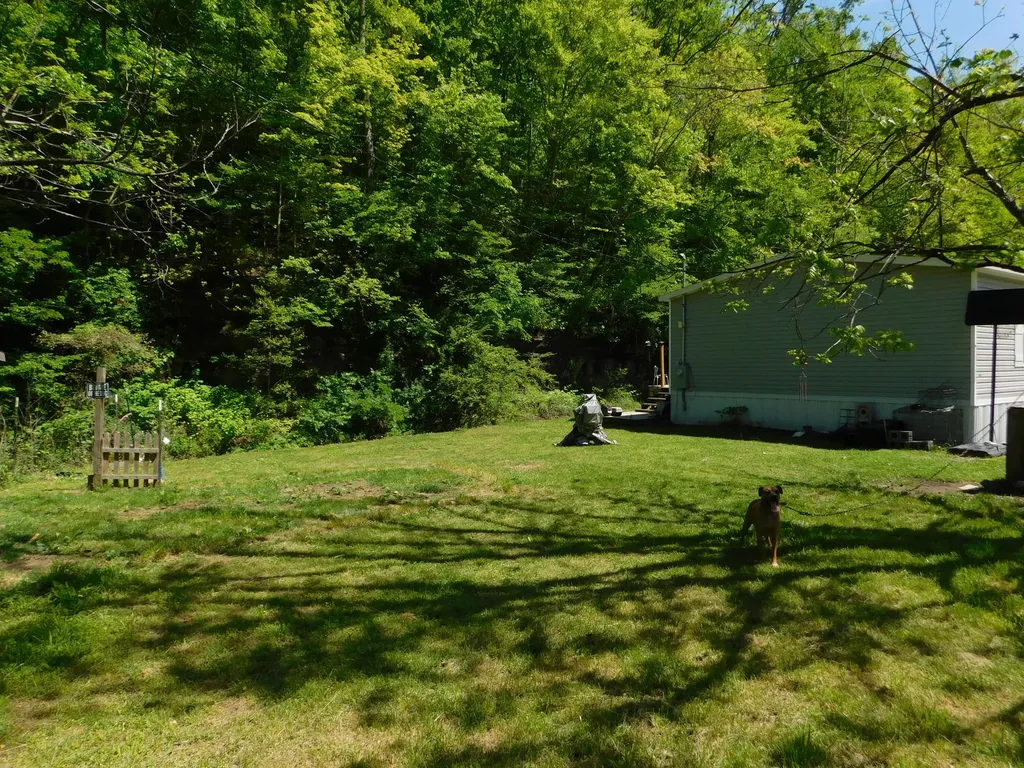 3587 Ky-219 Wallins KY 40873