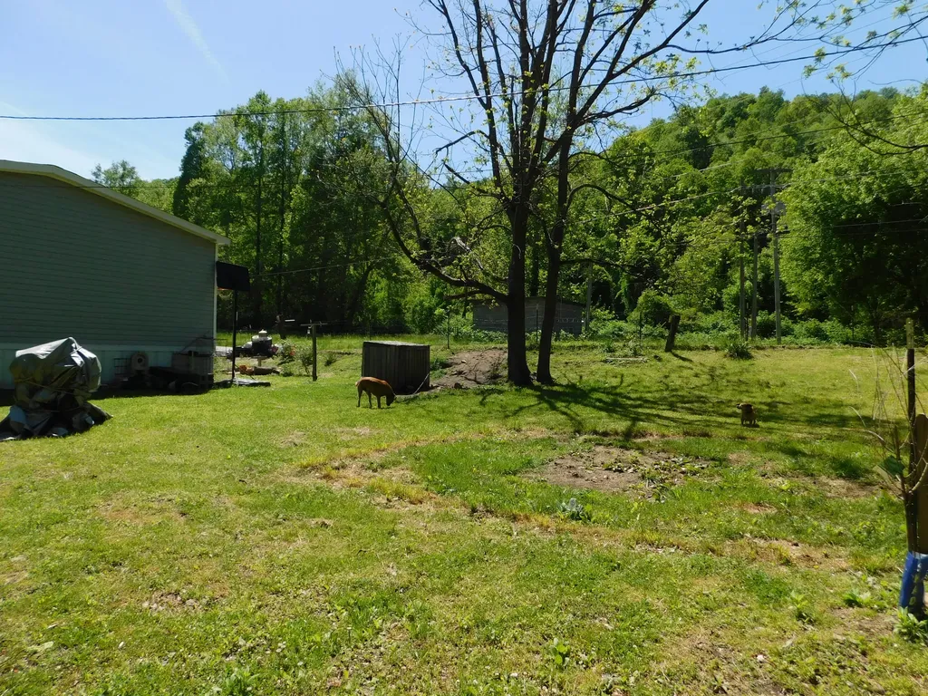 3587 Ky-219 Wallins KY 40873