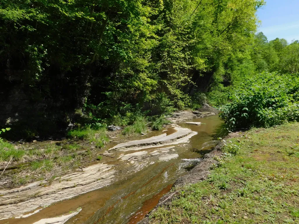 3587 Ky-219 Wallins KY 40873