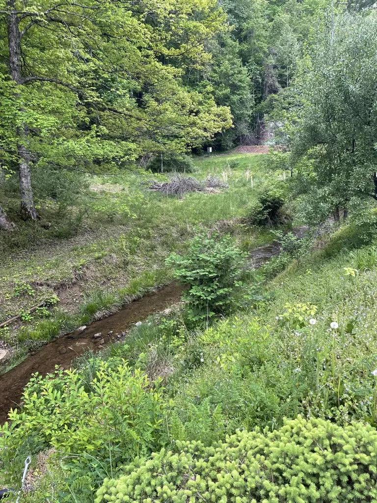 395 High Rock Road Hazard KY 41701