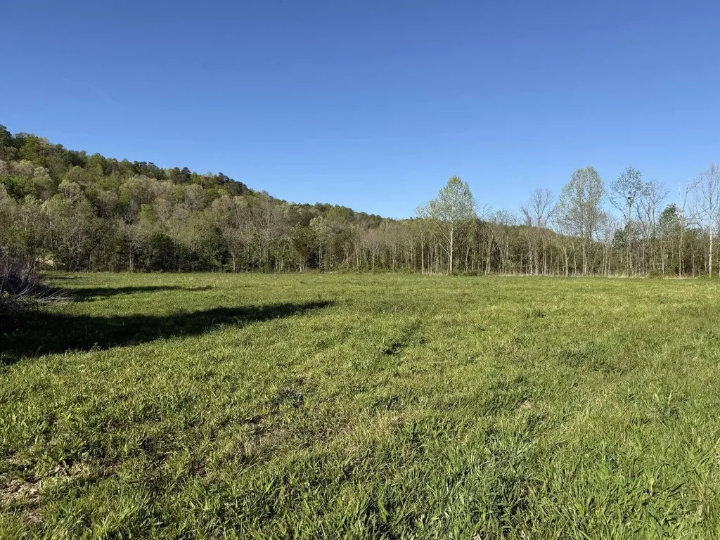 1234 Jonathan Fork Road Liberty KY 42539