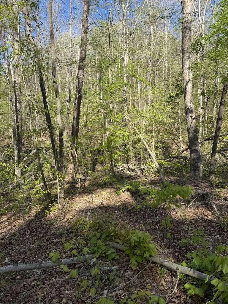 1234 Jonathan Fork Road Liberty KY 42539