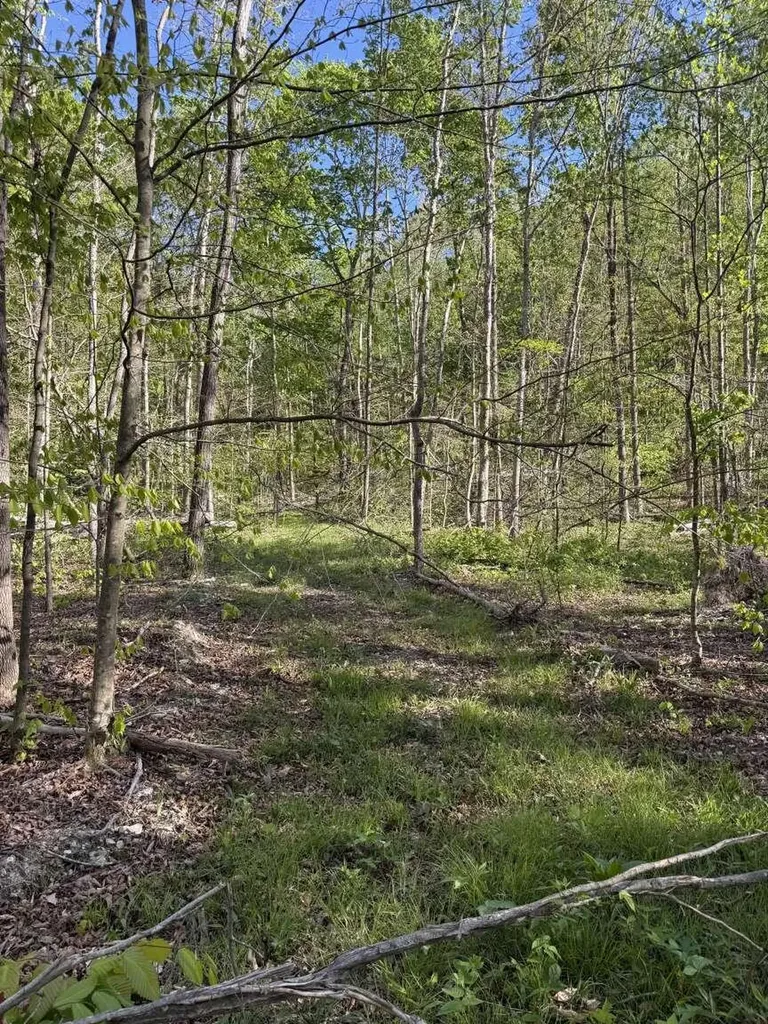 1234 Jonathan Fork Road Liberty KY 42539