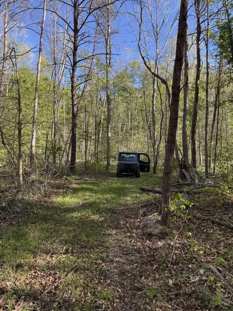 1234 Jonathan Fork Road Liberty KY 42539