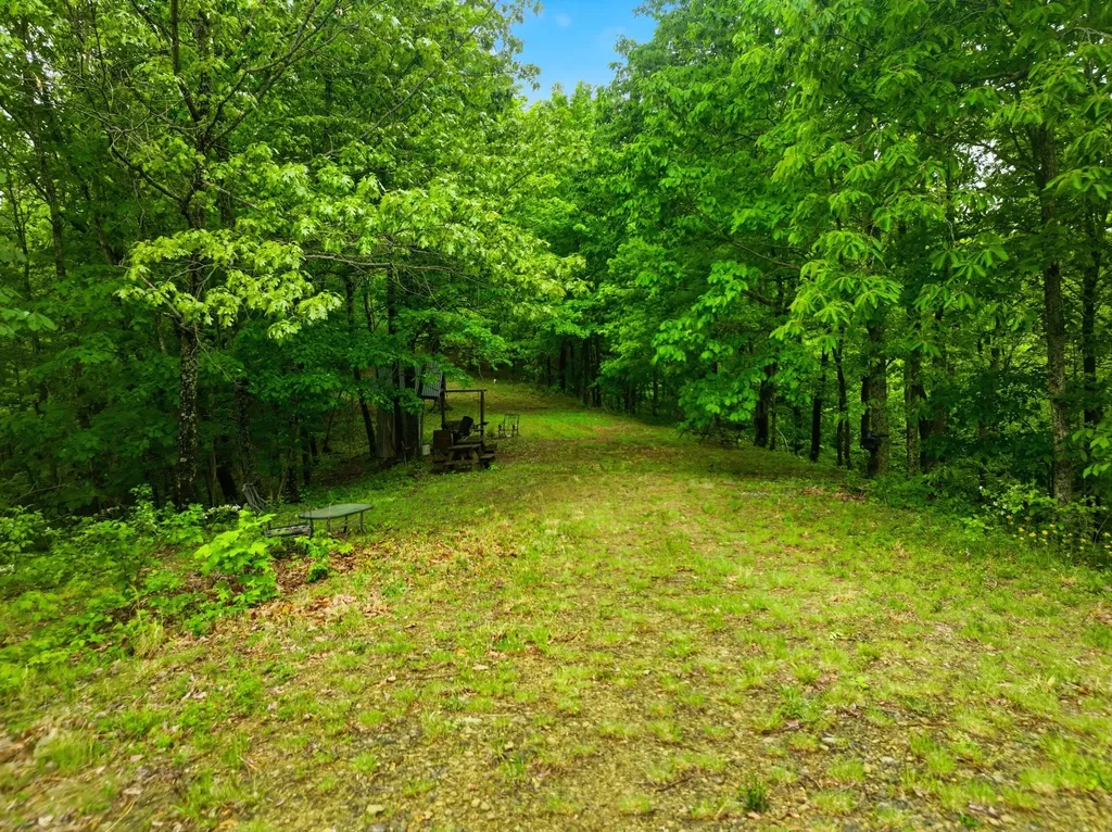 380 Mitchell Heights Lane Parksville KY 40464