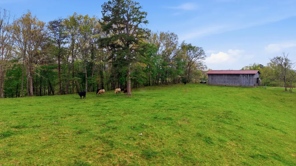 595 Ky-2002 Mckee KY 40447