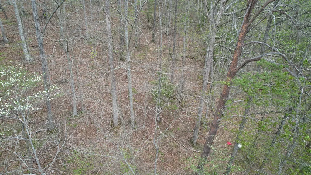 321 Mill Creek Road Jackson KY 41339