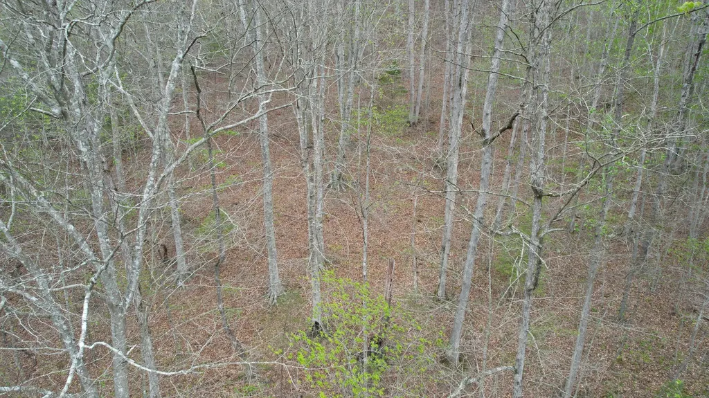 321 Mill Creek Road Jackson KY 41339