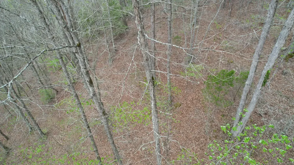 321 Mill Creek Road Jackson KY 41339