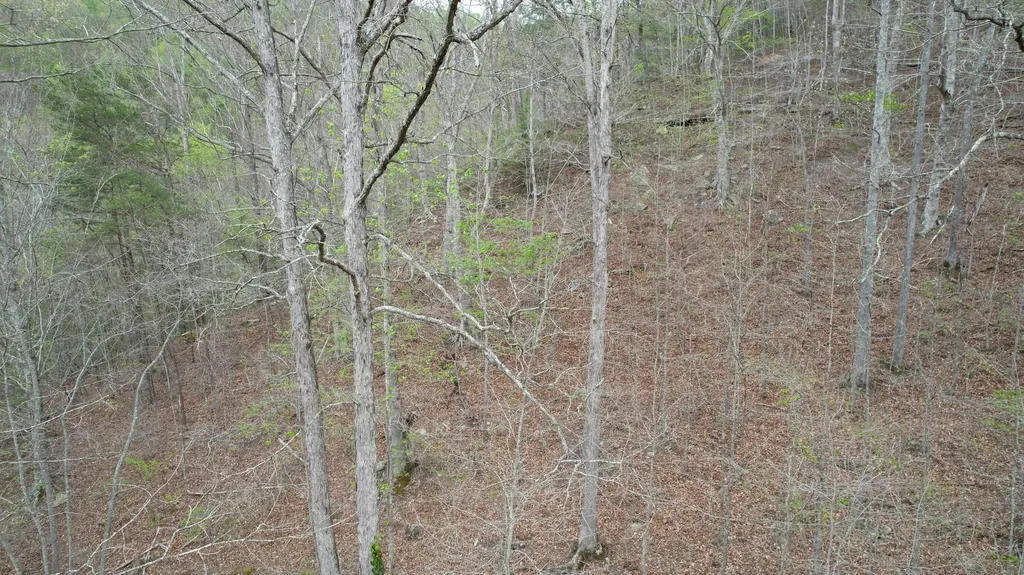 321 Mill Creek Road Jackson KY 41339