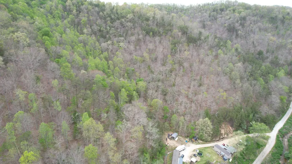 321 Mill Creek Road Jackson KY 41339