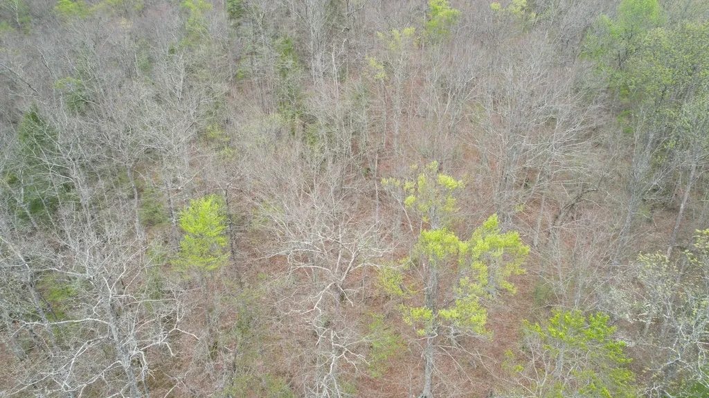 321 Mill Creek Road Jackson KY 41339