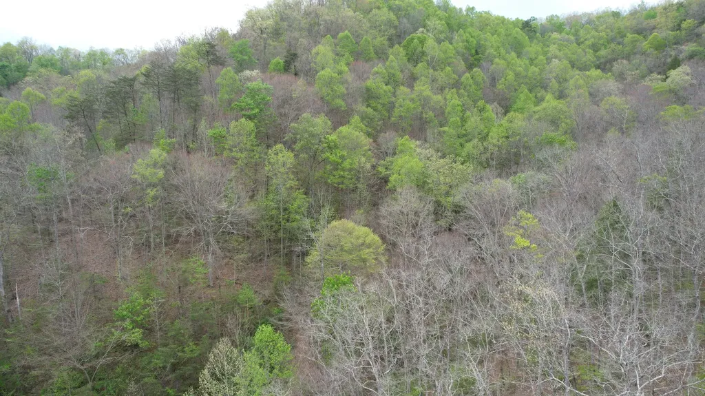 321 Mill Creek Road Jackson KY 41339