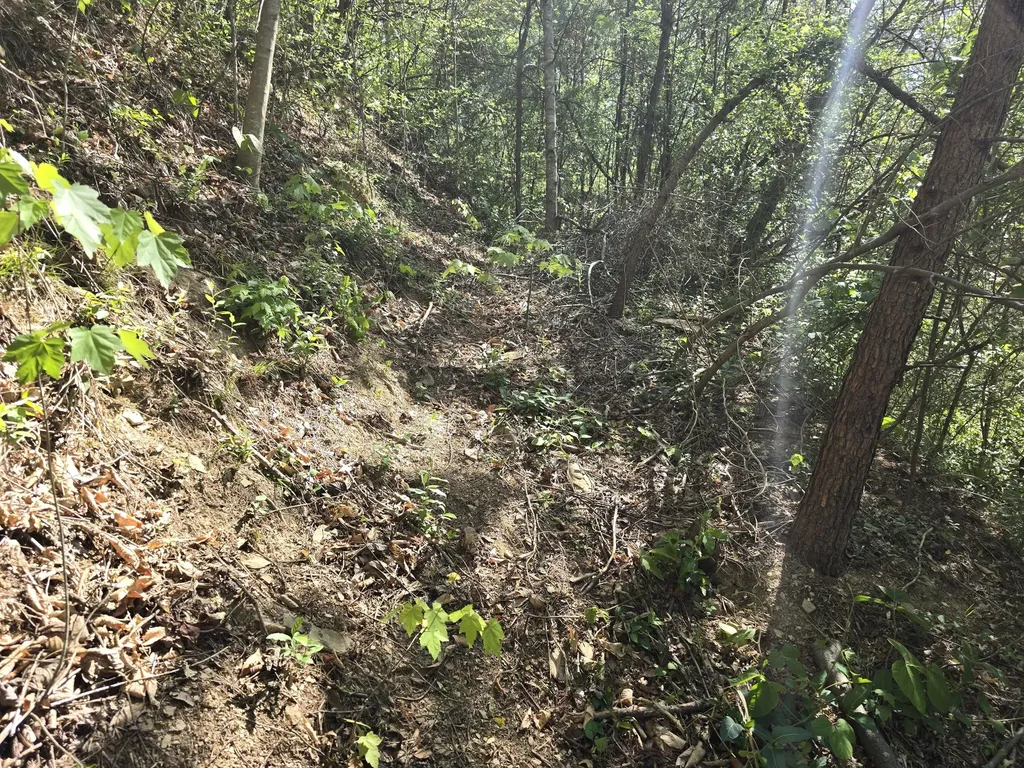 321 Mill Creek Road Jackson KY 41339
