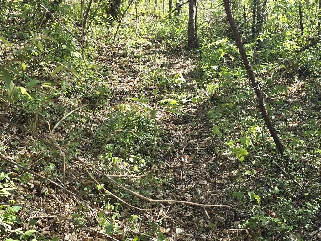 321 Mill Creek Road Jackson KY 41339