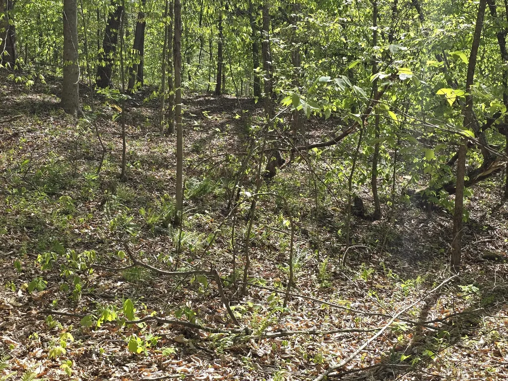 321 Mill Creek Road Jackson KY 41339