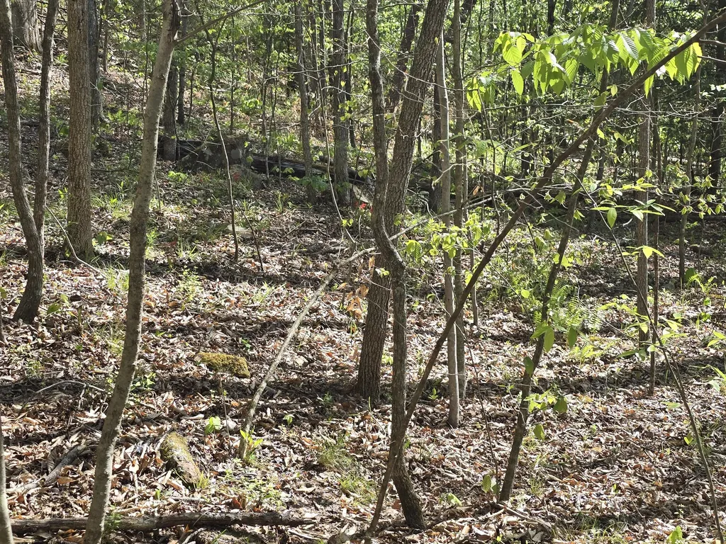 321 Mill Creek Road Jackson KY 41339