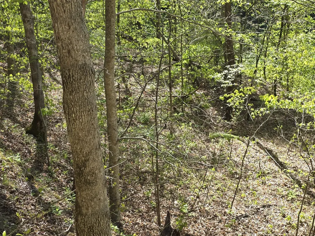 321 Mill Creek Road Jackson KY 41339