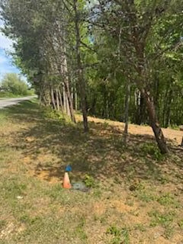10608 Highway 196 Nancy KY 42544