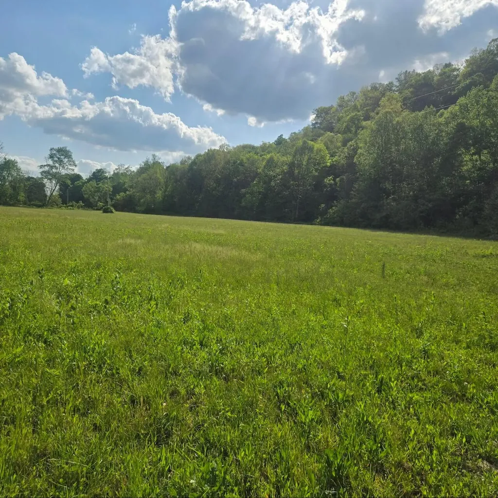 0 S Fishing Creek Road Waynesburg KY 40489