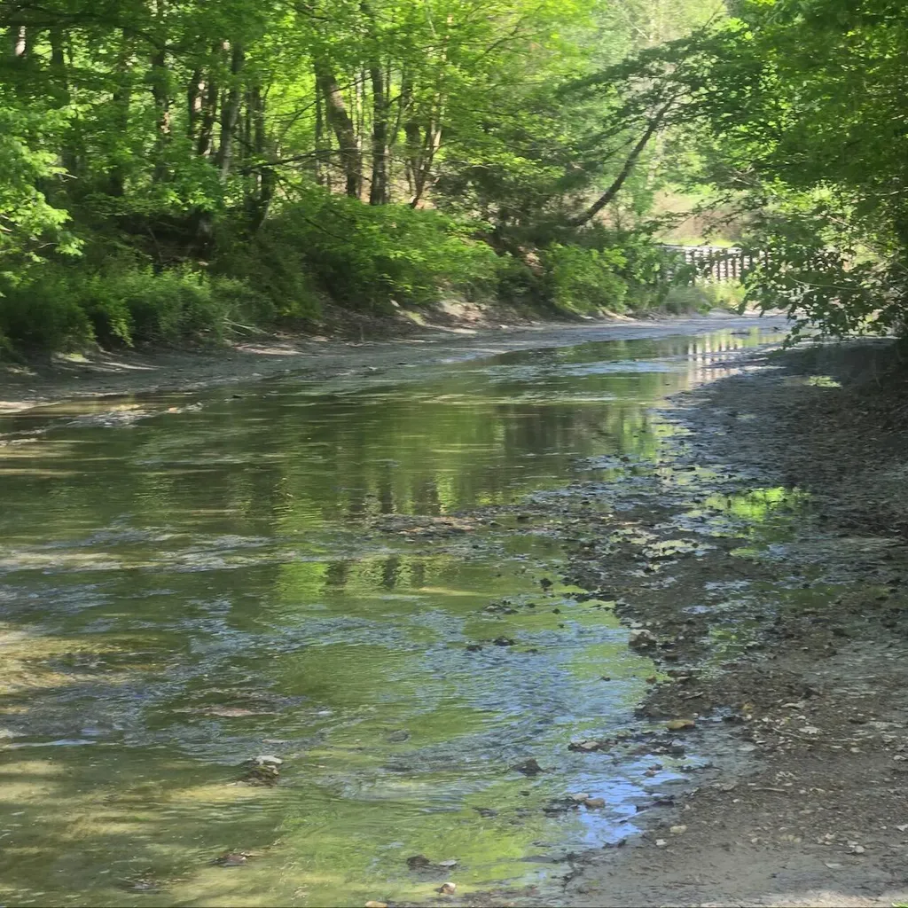 0 S Fishing Creek Road Waynesburg KY 40489