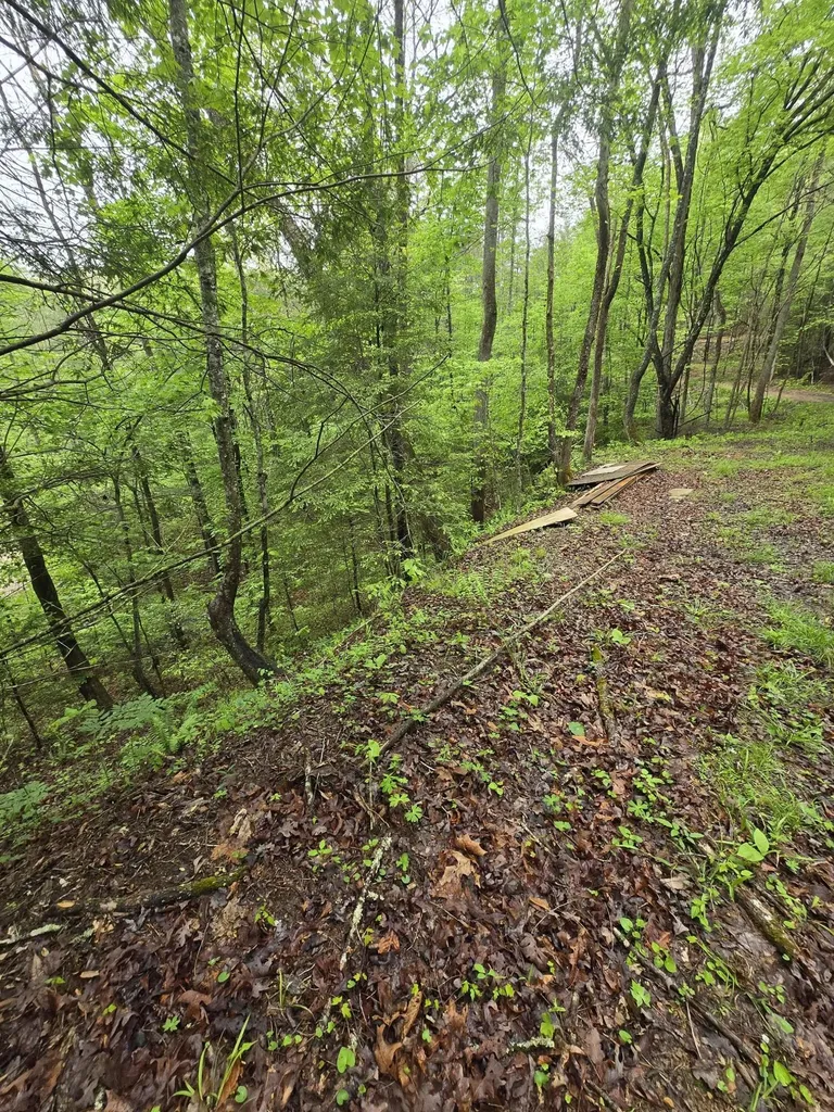 Lot 53 Soul Canyon Hideaway Zoe KY 41397
