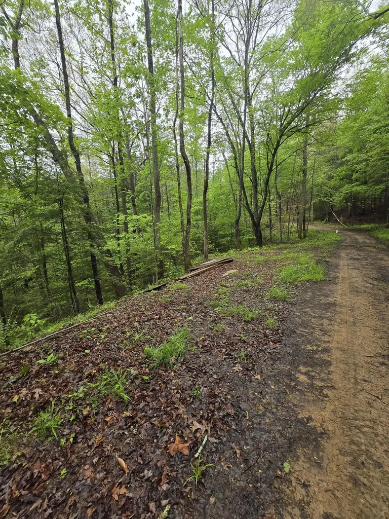 Lot 53 Soul Canyon Hideaway Zoe KY 41397