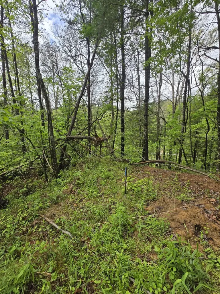 Lot 52 Soul Canyon Hideaways Development Zoe KY 41397