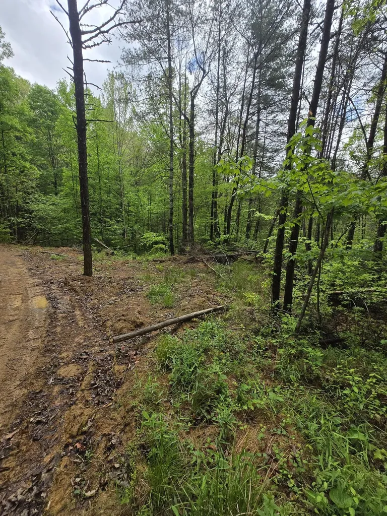 Lot 52 Soul Canyon Hideaways Development Zoe KY 41397
