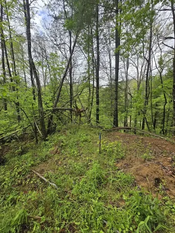 Lot 52 Soul Canyon Hideaways Development Zoe KY 41397