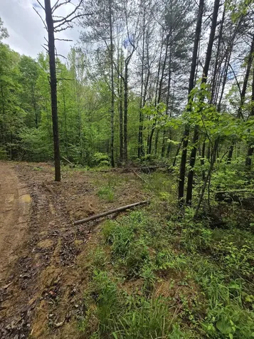 Lot 52 Soul Canyon Hideaways Development Zoe KY 41397