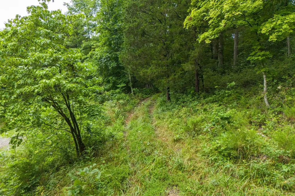 352 Suterville Road Stamping Ground KY 40379